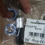上海航欧中国区销售Datasensor传感器