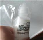 马尔文标准微粒 /乳胶球标样 GG988-LTX137