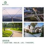 江苏荣亚LED户外防水微波感应道路小区公园高亮专用路灯头