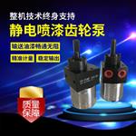静电喷漆配件齿轮泵水油通用款