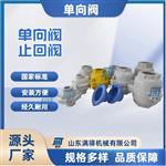 气力输送单向阀 止回阀