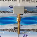 电厂水导油槽油水传感器WM1油混水信号器
