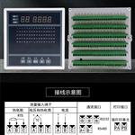 电站温度巡检仪TD200-A-2-R-S0-V0-T2