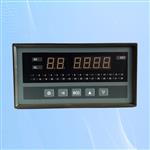 电站温度巡检仪TD200-A-2-R-S0-V0-T2