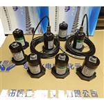 水电站低频振动传感器DP-VB-400安装类型