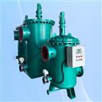 水电站过滤器DLSIII-250全自动滤水器