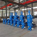 水电站过滤器DLSIII-250全自动滤水器