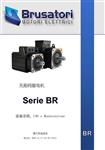 brusatori泵 BR140,871