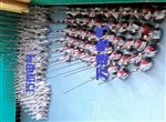 振动传感器YS-2DP40.0mV/mm/s