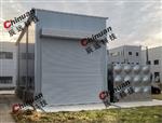 辰远定制CYL-10汽车漫林间
