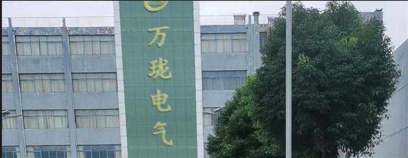 振动传感器VS-2DP2321