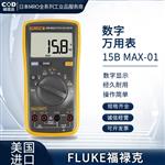 FLUKE福禄克数字万用表117B MAX-01/CN