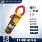 FLUKE福禄克钳形万用表319