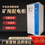 工地防腐防尘软启动柜132KW矿用配电柜