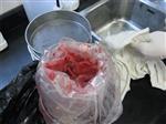 牛跟腱胶原蛋白高速胶体磨