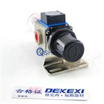 德克西无杆气缸GFR200-08过滤器