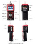 可燃气体检测报警仪 GASTiger2000-Ex