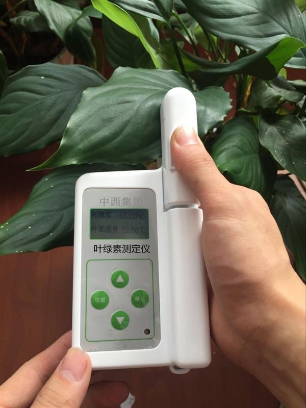 植物叶绿素仪 型号:LYS-A