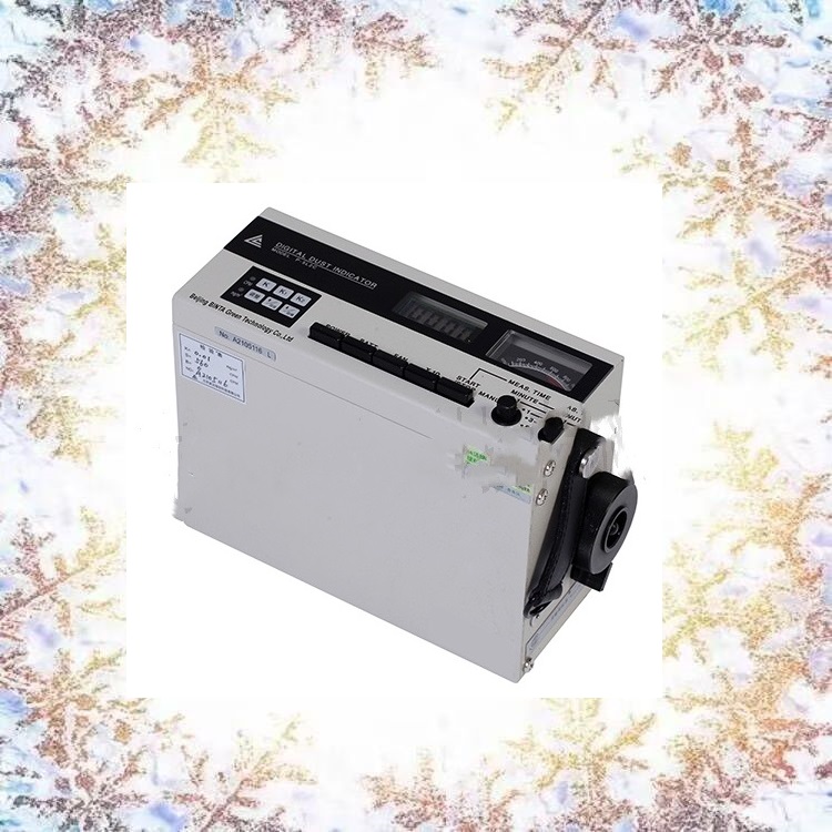 粉尘检测仪 型号:P5L2C/P-5L2C