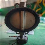 船用对夹式涡轮蝶阀  GB/T3036 球铁铸钢不锈钢青铜