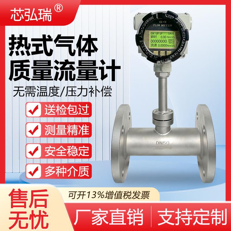 TS-92Y-RS热式气体质量流量计