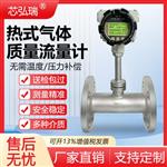 TS-92Y-RS热式气体质量流量计