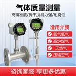 TS-92Y-RS热式气体质量流量计