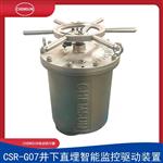 凯姆斯CSR-G07井下直埋智能监控驱动装置