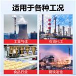TS-92Y-LWQ气体涡轮流量计