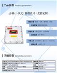 超声波流量计 脉冲输出 非接触式 冶金行业