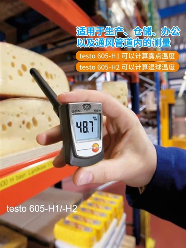 德图testo 数显温湿度仪 605i+仪表箱