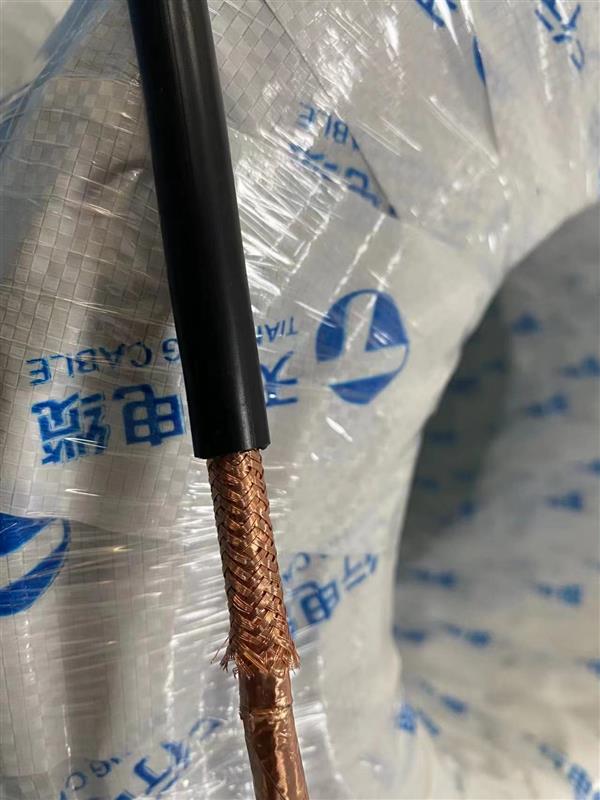 天行品牌 阻燃计算机电缆ZR-DJYPVP