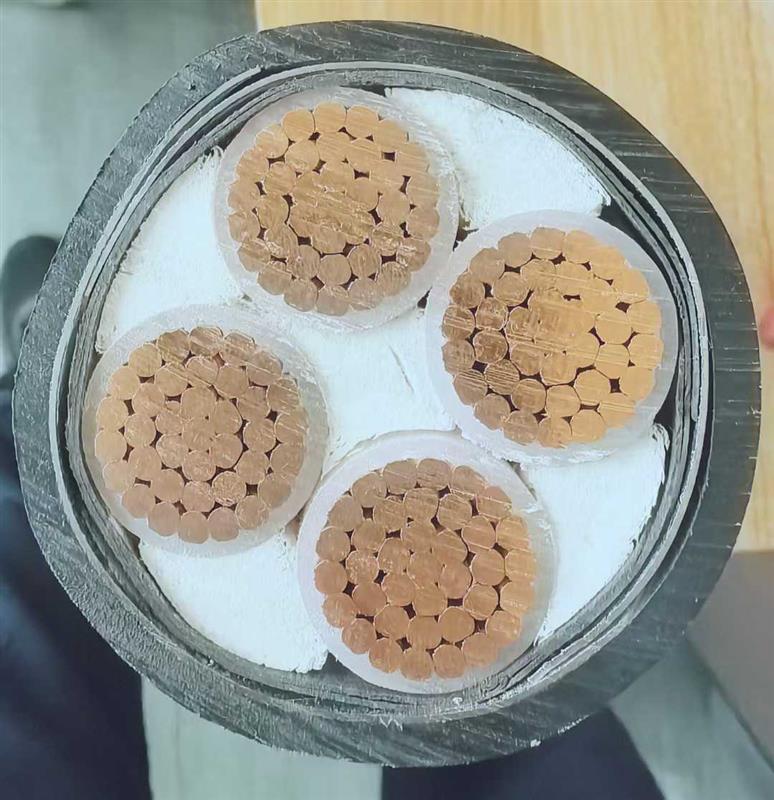 天行品牌 WDZAN-YJY 国标低烟无卤耐火电缆