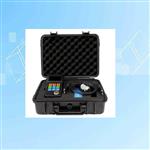 穿透涂层声波测厚仪 (标配） 型号:UM-5DL 