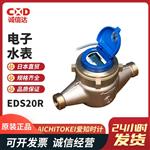 日本 AICHITOKEI爱知时计电子水表EDS20R