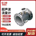 AICHITOKEI爱知时计超声波流量计TRZ系列