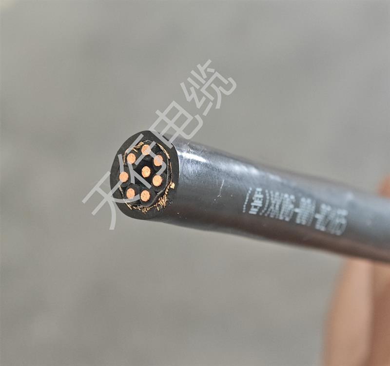 ZC-DJYVPR-12×3×1.5阻燃计算机电缆