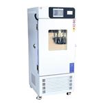 MJ-HSX-250高精度霉菌培养箱