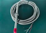 胀差传感器DWQZΦ25/L=709米前置器