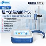支架款超声波细胞破碎仪