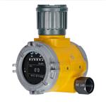防爆在线式氧气气体报警器 FIX800-O2-H