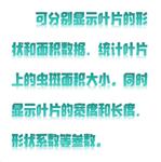 拍照式叶面积测量仪 型号:RR12-LAM-E