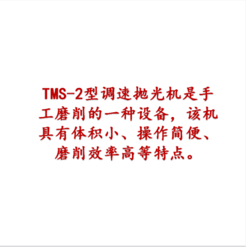 台式调速抛光机 型号:TMS-2库号：M410003