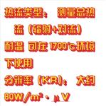 高温辐射热流传感器 型号:DLW01-HT50-M24