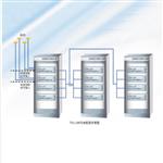 时间同步装置 型号:TT12-TSS-200