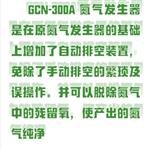 氮气发生器 型号:LM12-GCN-300A