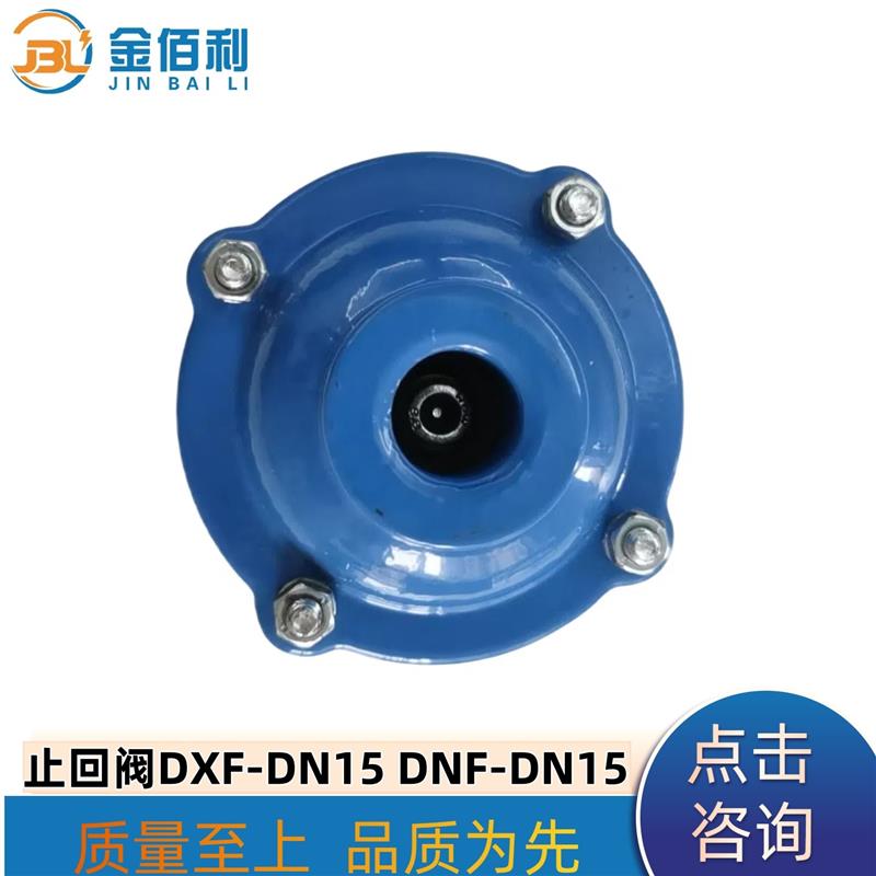 纽普兰止回阀 单向阀 逆止阀 DXF-ZNF-DN15 