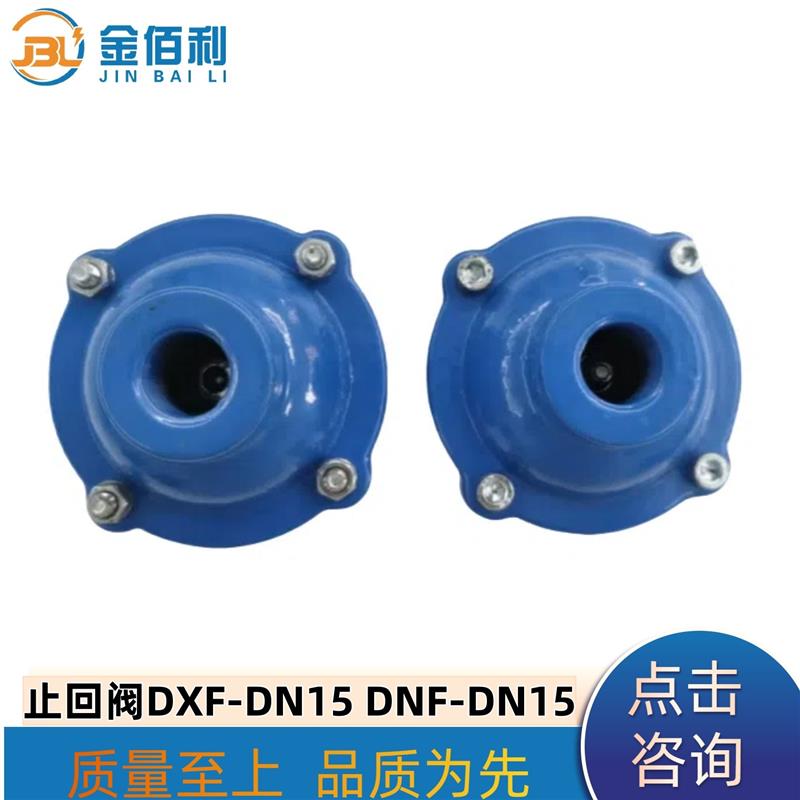 纽普兰止回阀 单向阀 逆止阀 DXF-ZNF-DN15 