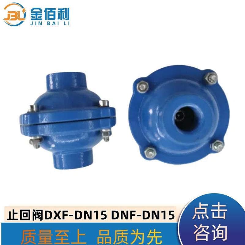 纽普兰止回阀 单向阀 逆止阀 DXF-ZNF-DN15 