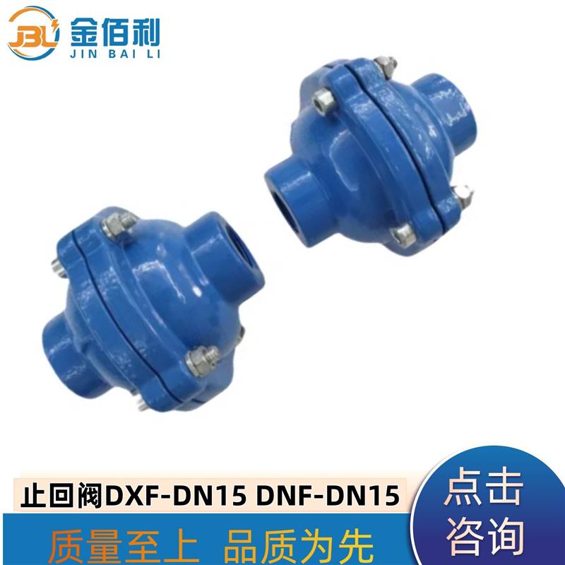 纽普兰止回阀 单向阀 逆止阀 DXF-ZNF-DN15 